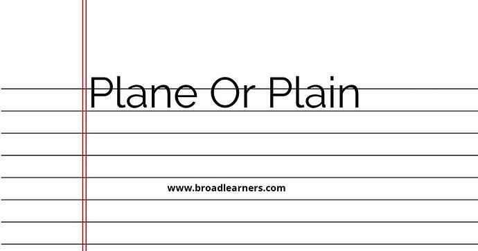 plane-or-plain-common-grammar-mistake
