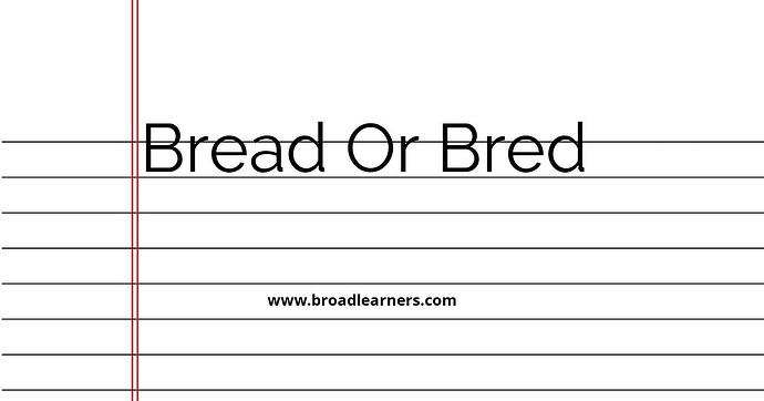 bread-or-bred-common-grammar-mistake