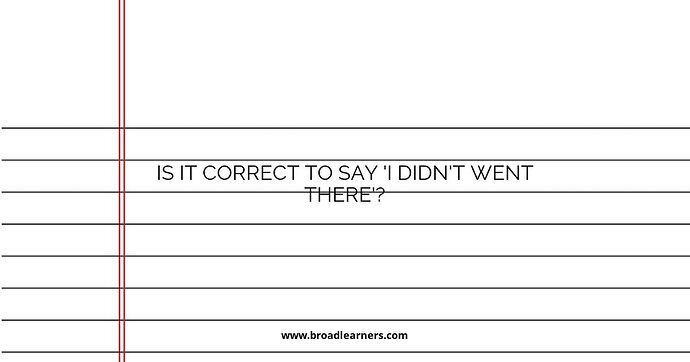 is-it-correct-to-say-i-didnt-went-there
