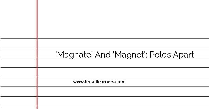 magnate-vs-magnet-understanding-the-difference